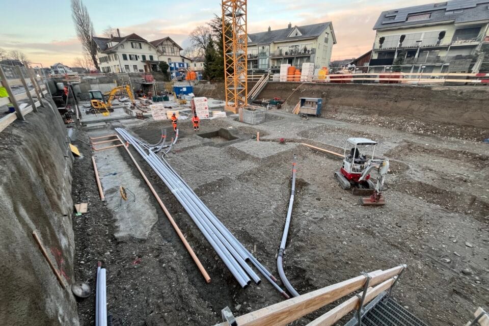 Belano Aarberg 12.2025